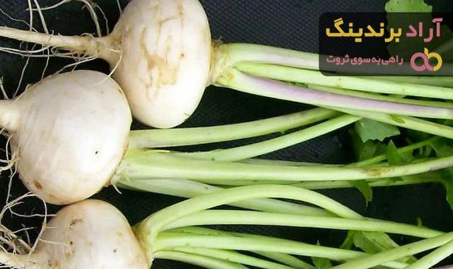 خواص چغندر سفید (چغندر قند) در طب سنتی + نحوه مصرف