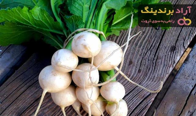 خرید بهترین انواع چغندر سفید با قیمت ارزان