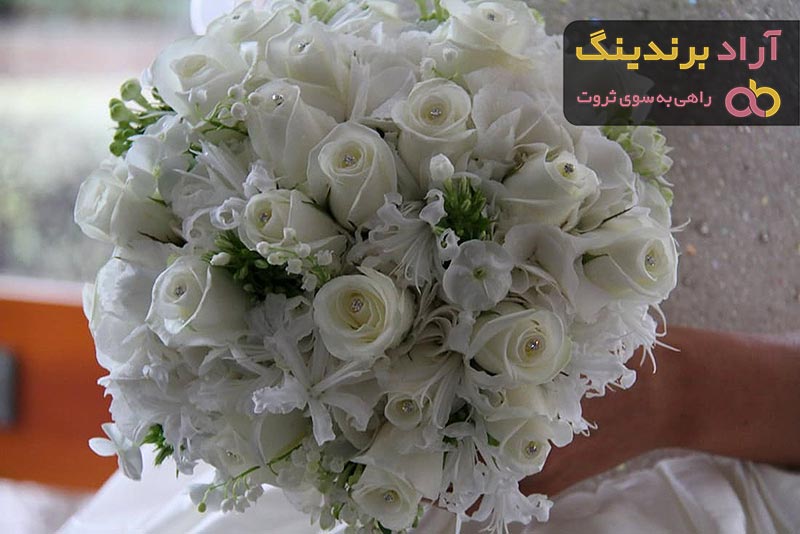 خرید و قیمت گل رز سفید هلندی