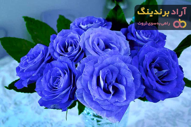 خرید و قیمت گل رز آبی جاودان