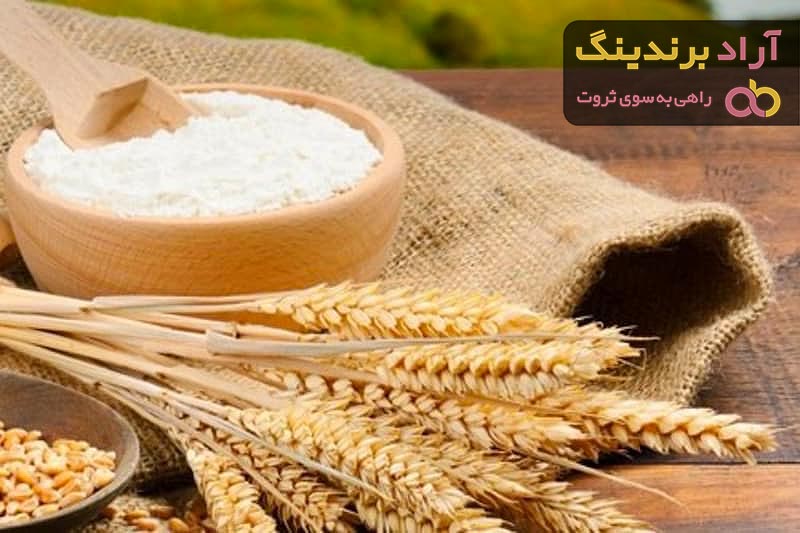 خرید جدیدترین انواع گندم دوروم از معتبرترین برندهای دنیا