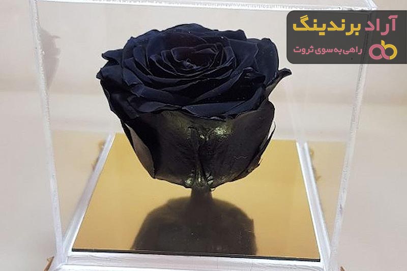 گل رز جاودان قلبی | خرید با قیمت ارزان