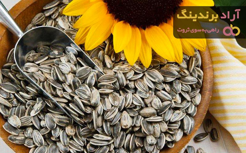 تخمه برای زن باردار + قیمت خرید