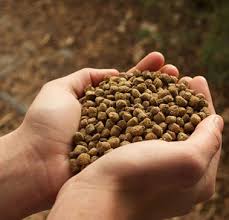 خرید جدیدترین انواع پودر ماهی جنوب