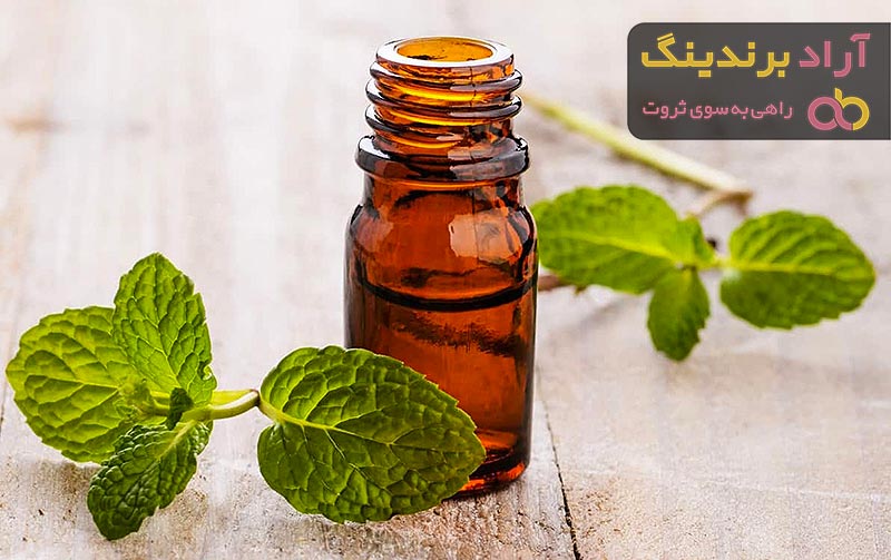 خرید گیاه به لیمو با بهترین قیمت