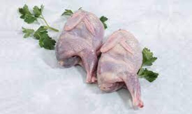 خرید گوشت بلدرچین منجمد + قیمت عالی با کیفیت تضمینی