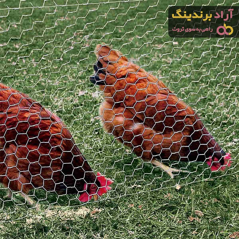 خرید و قیمت توری مرغی ریز عمده و جزیی