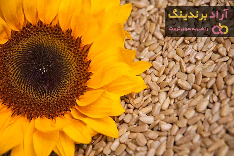 قیمت خرید تخمه آفتابگردان ممتاز + تست کیفیت