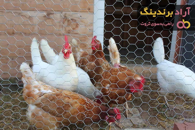 خرید و قیمت توری مرغی پلاستیکی عمده و جزیی