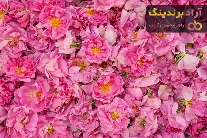 قیمت خرید گل محمدی خشک + راهنمای استفاده