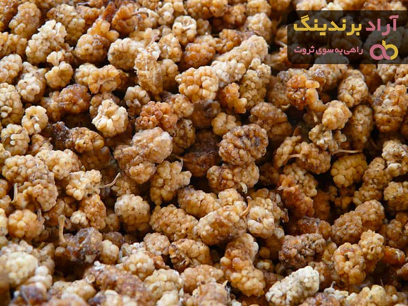 خرید توت خشک سفید + قیمت عالی با کیفیت تضمینی