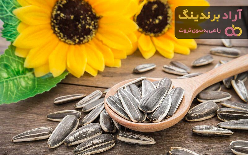 مغز تخمه آفتابگردان برای کبد چرب + قیمت خرید