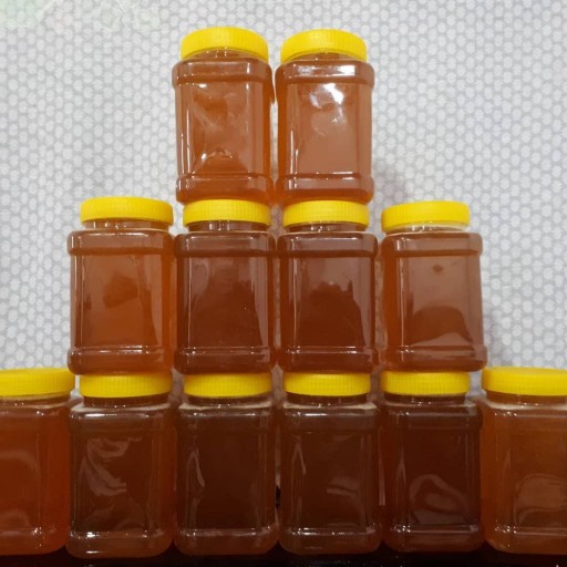 قیمت عسل ارگانیک شیراز + مشخصات بسته بندی عمده و ارزان