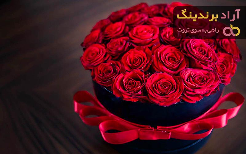 خرید باکس گل رز هلندی + بهترین قیمت