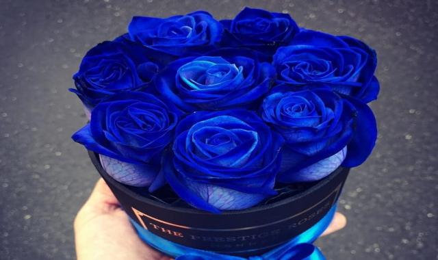 قیمت باکس گل رز ابی کوچک