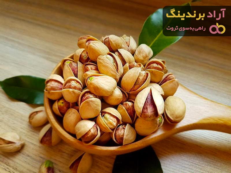 خرید پسته خام فروش انواع پسته خام با قیمت مناسب