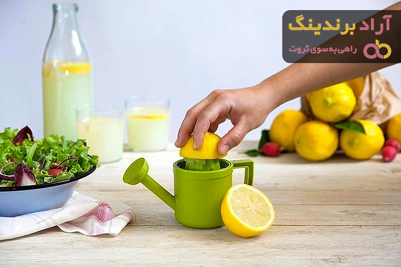 آب میوه گیری اهرمی چیست؟ + قیمت خرید آب میوه گیری اهرمی
