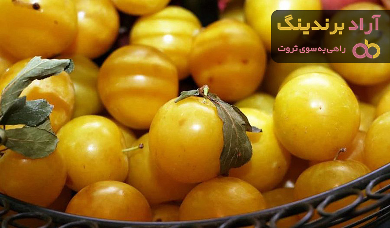 خرید و قیمت آلو زرد ترش اعلاء