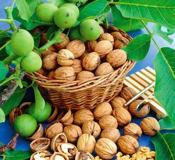 قیمت و خرید دستگاه پوست کن گردو + فروش ارزان