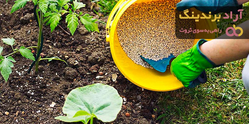 بهترین قیمت خرید کود گیاهان آپارتمانی در همه جا تهران کرمان مازندران مشهد