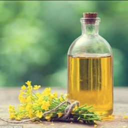 روغن سویا برای چی خوبه + قیمت خرید