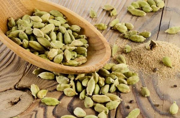 قیمت هل سبز + خرید و لیست قیمت روز هل سبز دی ۱۴۰۱