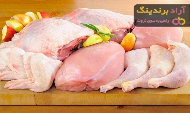 قیمت گوشت بوقلمون تازه