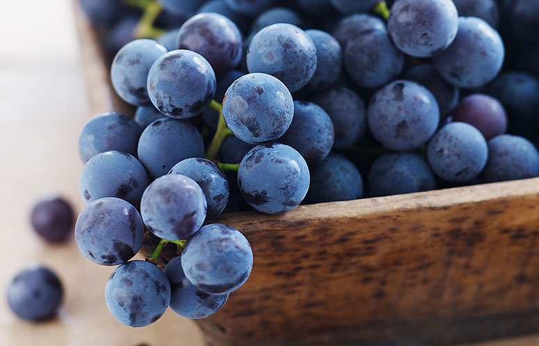 معرفی شیره انگور ملایر + بهترین قیمت خرید