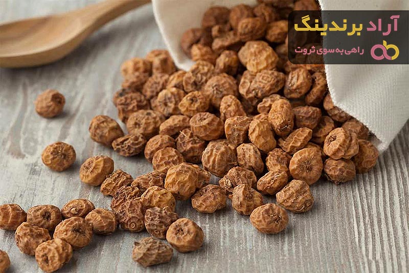 بهترین طعمه ماهی کپور + قیمت خرید عالی