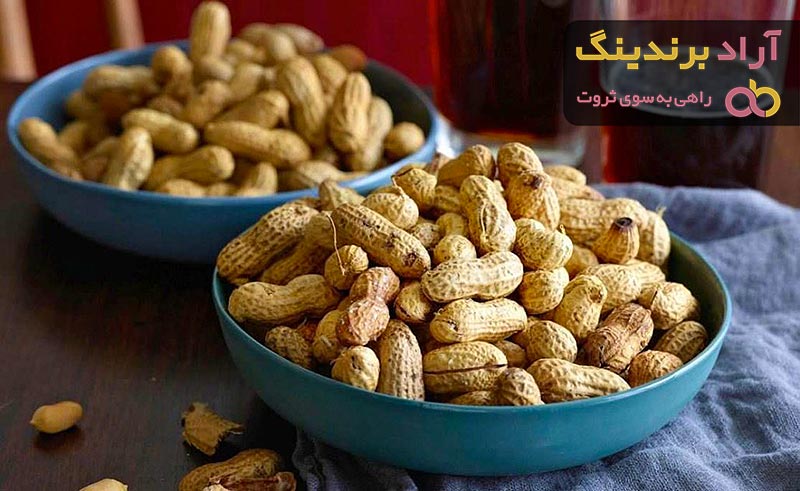 خرید بادام زمینی تازه  + قیمت عالی با کیفیت تضمینی