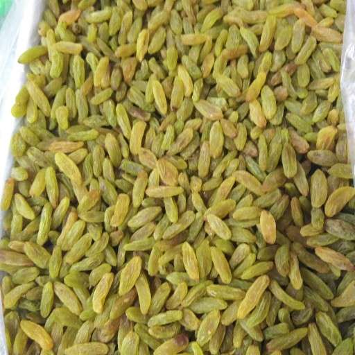 خرید کشمش سبز ارگانیک با قیمت استثنایی