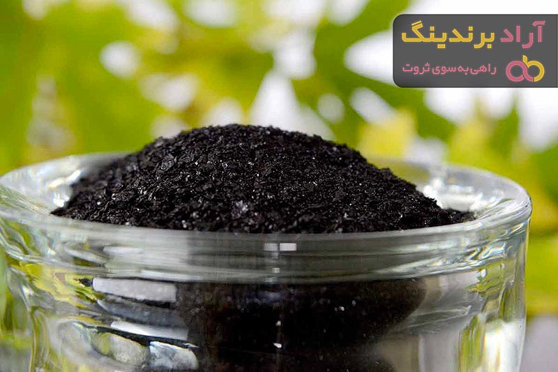 خرید بهترین انواع کود هیومیک اسید با قیمت ارزان