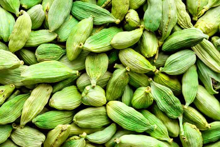 مناسب ترین قیمت هل سبز درجه یک در ماه دی ۱۴۰۱