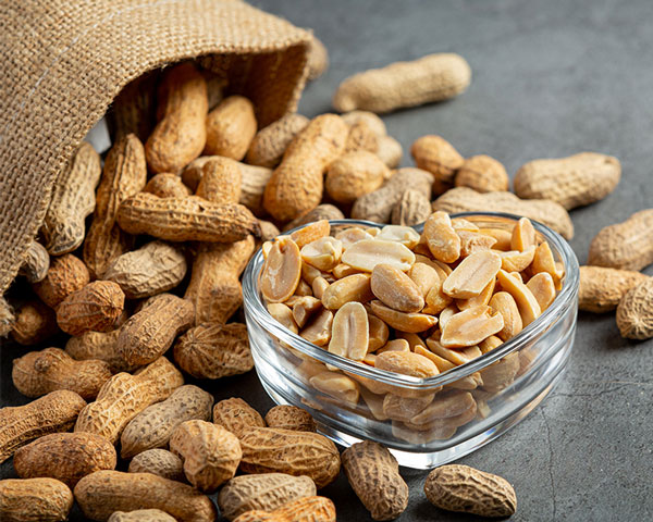 بادام زمینی آستانه اشرفیه گیلان + قیمت خرید، کاربرد، مصارف و خواص