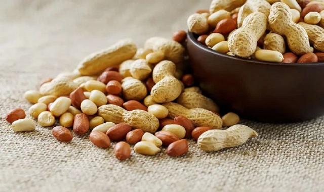 قیمت و خرید بادام زمینی کشت مغان + فروش ارزان