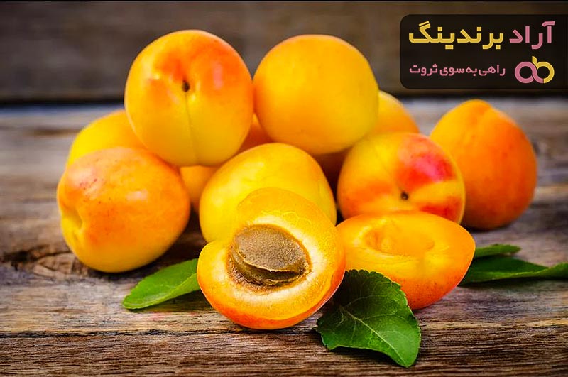 قیسی زردآلو گرم است یا سرد + قیمت خرید