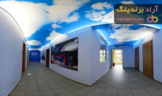 قیمت و خرید تخمه آفتابگردان چینی خام + فروش ارزان