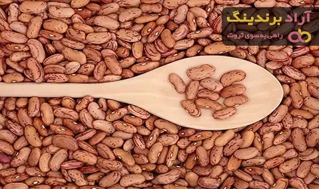 راهنمای خرید لوبیا چیتی برای مدل های مختلف + قیمت عالی