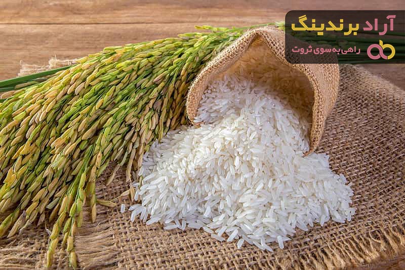 خرید و قیمت روز برنج فجر شمال