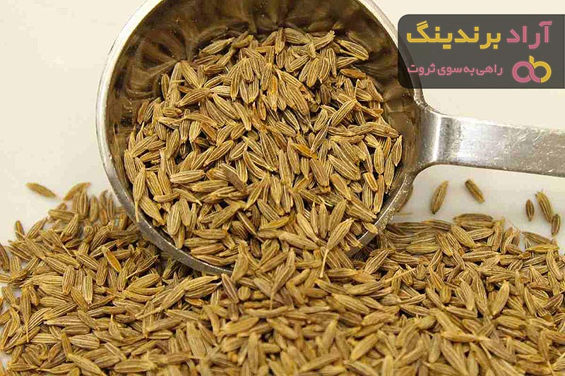 قیمت خرید زیره سبز مشهد + مشخصات، عمده ارزان