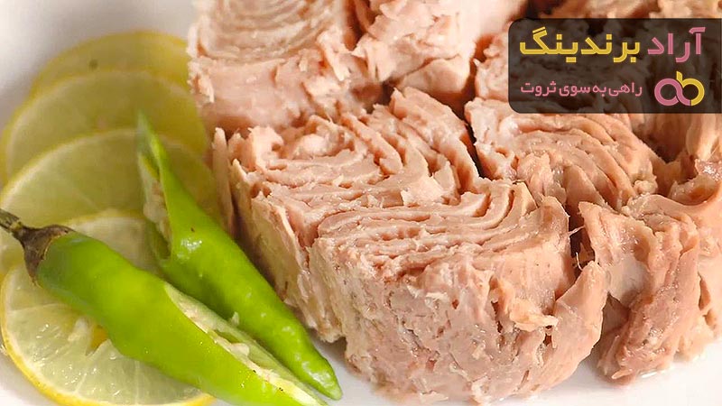 لیست قیمت کنسرو تن ماهی بدون روغن ۱۴۰۱