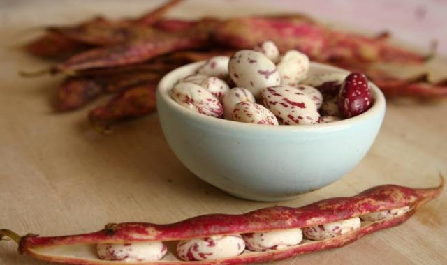 قیمت لوبیا چیتی تازه + مشخصات و بسته بندی عمده و ارزان