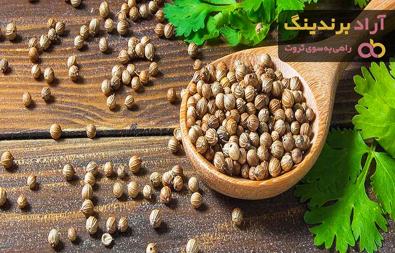 بذرگشنیز توپی + قیمت خرید، کاربرد، مصارف و خواص