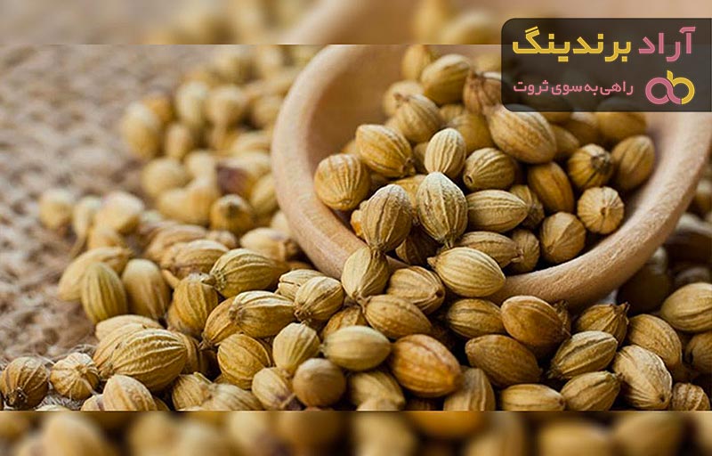 معرفی انواع بذر گشنیز + قیمت خرید روز