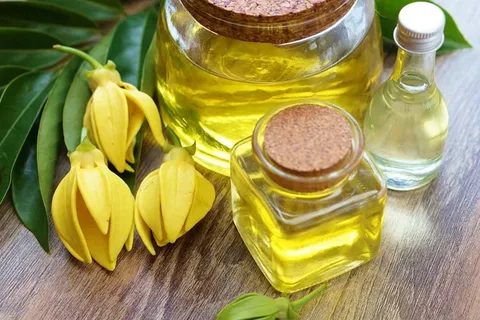 قیمت خرید روغن زیره سبز + طرز تهیه