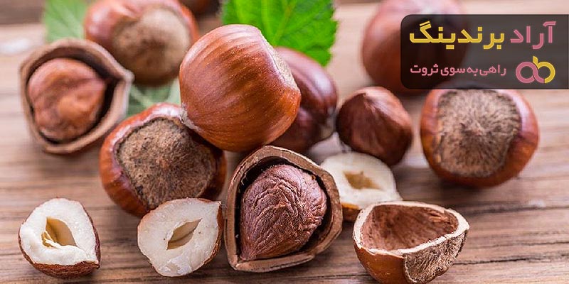 قیمت فندق ایرانی + خرید و فروش فندق ایرانی عمده