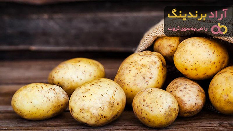 خرید بذر سیب زمینی اسپریت با قیمت استثنایی