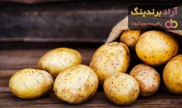 خرید بذر سیب زمینی اسپریت با قیمت استثنایی