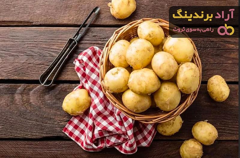 خرید و قیمت بهترین انواع سیب زمینی آگریا