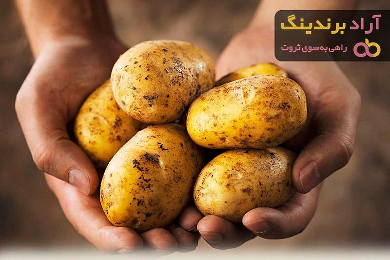 خرید و لیست قیمت سیب زمینی در بازار